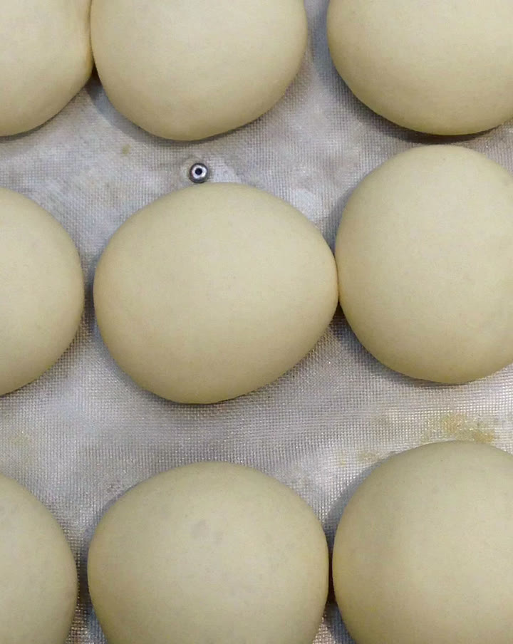 Pâtons crus alignés, prêts à cuire